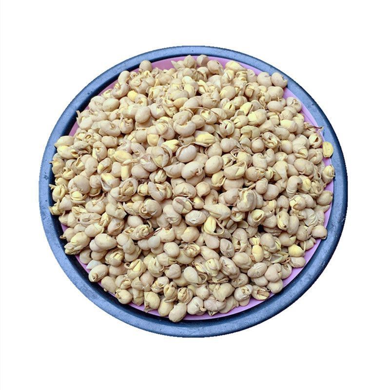 大豆黄卷中药材无硫大黄豆卷康养斋中药材专营