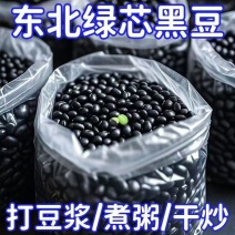 东北新货优质绿芯黑豆东北农家芯黑豆浆可发芽豆浆泡醋五谷杂