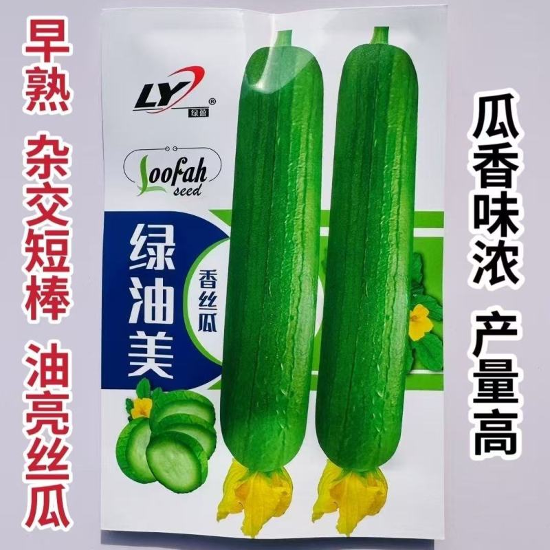 绿油美油丝瓜种子早熟杂交短棒油亮香丝瓜种子不黑汤油绿丝瓜