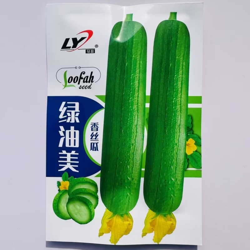绿油美油丝瓜种子早熟杂交短棒油亮香丝瓜种子不黑汤油绿丝瓜