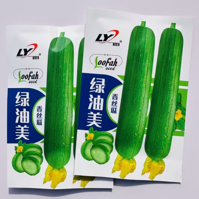 绿油美油丝瓜种子早熟杂交短棒油亮香丝瓜种子不黑汤油绿丝瓜
