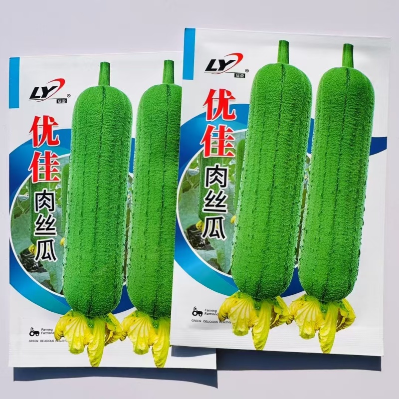 绿盈优佳肉丝瓜种子味甜早熟短棒丝瓜种籽产量高春秋大田蔬菜