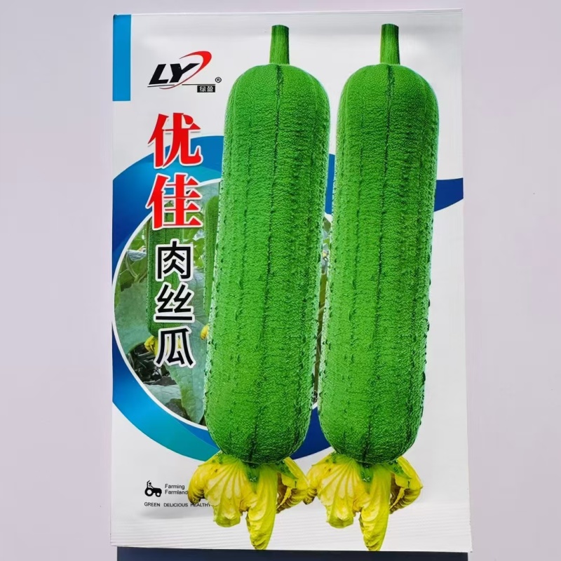 绿盈优佳肉丝瓜种子味甜早熟短棒丝瓜种籽产量高春秋大田蔬菜