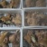 【精品】火烧毛纯干牛头肉货源充足量大从优欢迎采购