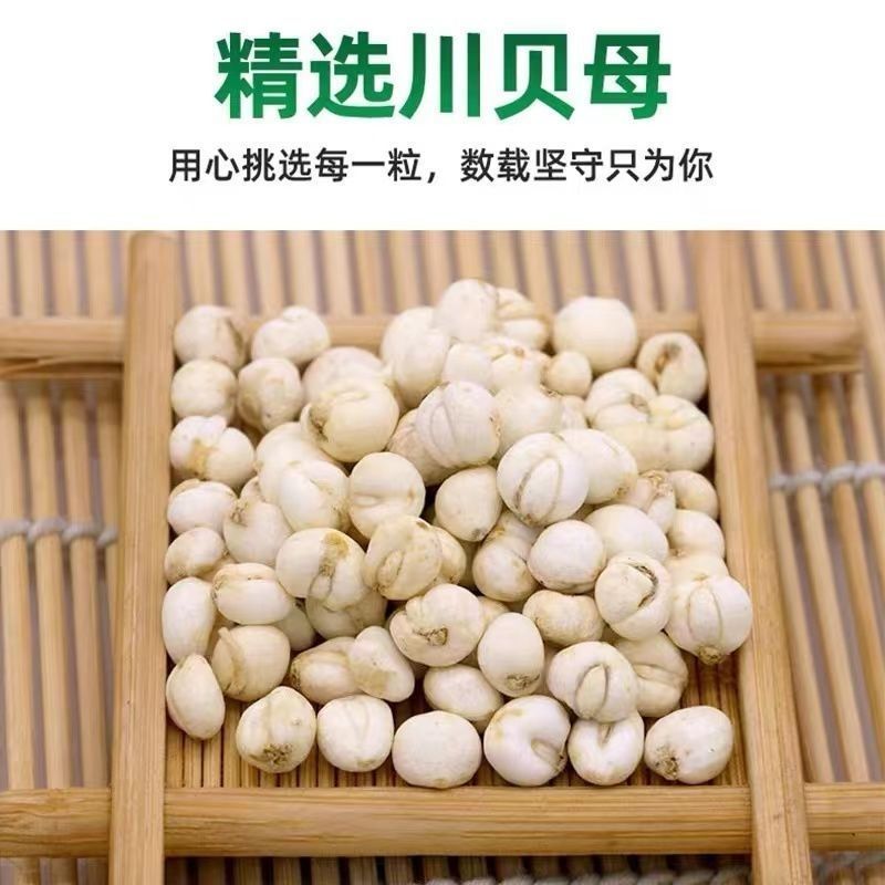 川贝母中药材正品川贝母无硫干净原色诚信经营品质保证