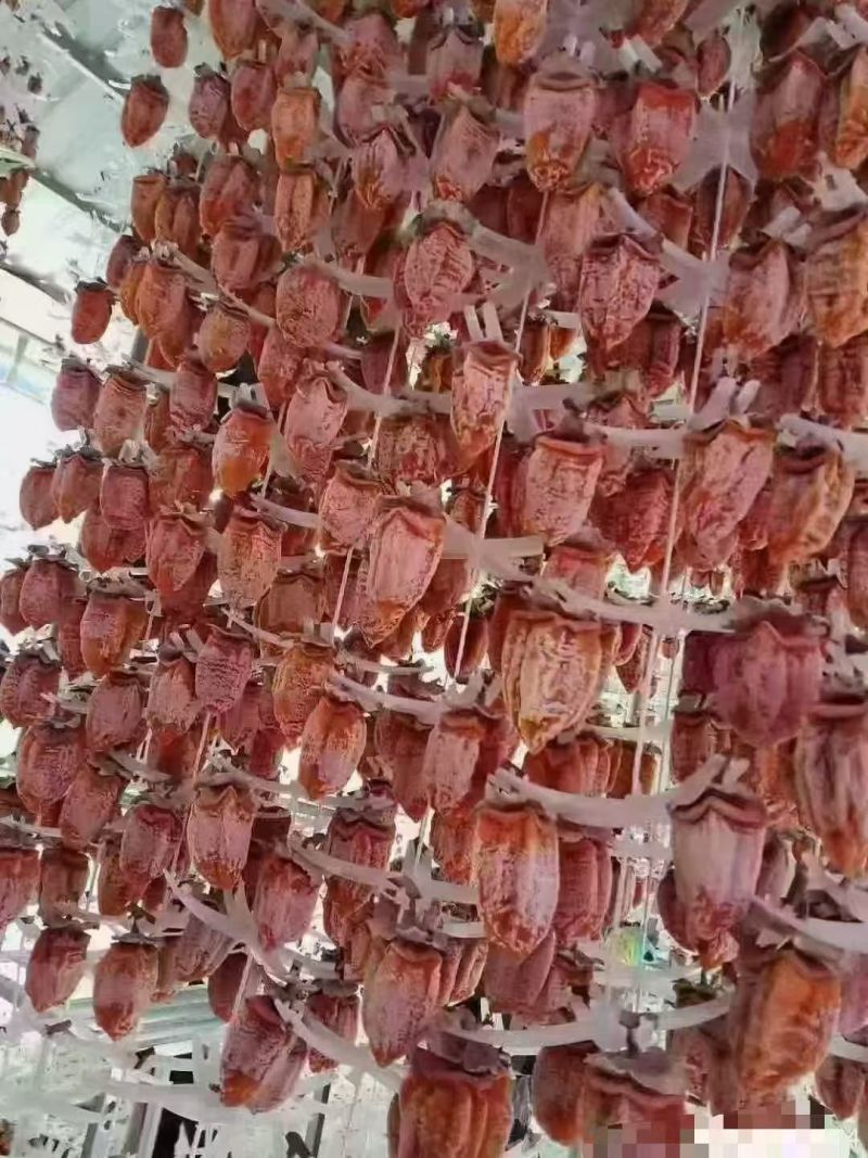 陕西特产柿饼特级正宗吊柿子饼干农家自制霜降吊圆饼