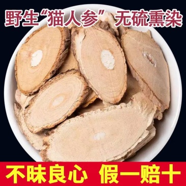 猫人参中药材猫气藤毛人参沙梨藤诚信经营保质保量批
