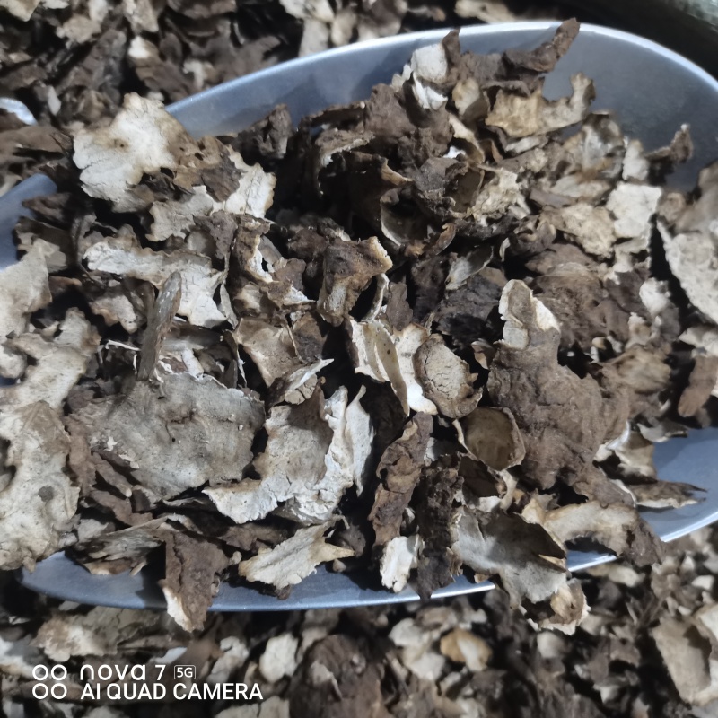 茯苓皮中药材茯苓皮干净无杂质一手货源量大从优