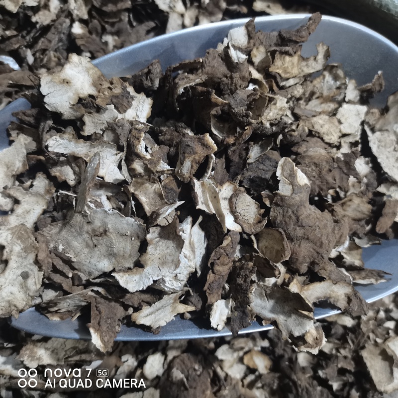 茯苓皮中药材茯苓皮干净无杂质一手货源量大从优