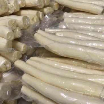 广西华南9号黄肉木薯产地直发