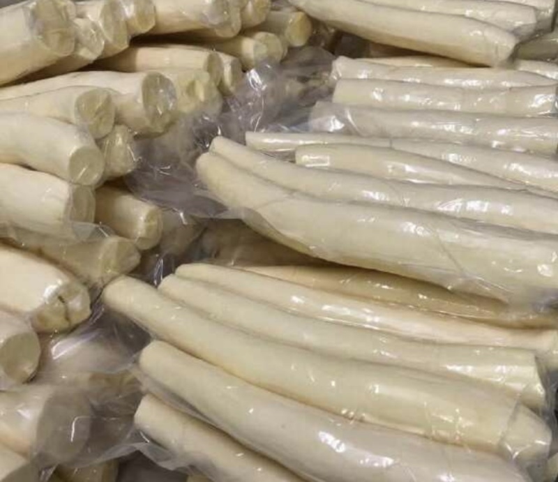 广西华南9号黄肉木薯产地直发