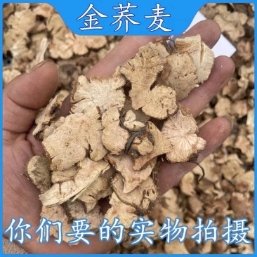 金荞麦云南野生荞麦根新货无硫一手货源诚信经营