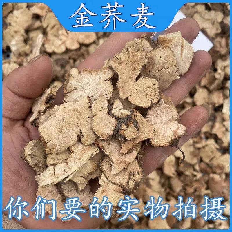 金荞麦云南野生荞麦根新货无硫一手货源诚信经营