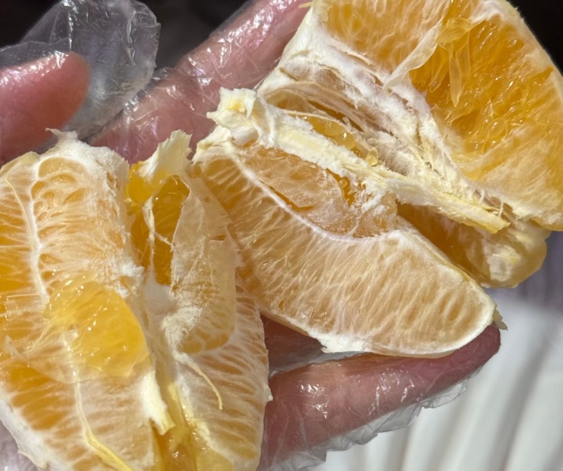 【赣南脐橙】江西赣南脐橙，自家果园现摘现发欢迎来电