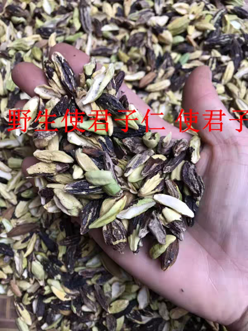 使君子仁新货无硫纯净货一手货源中药材批发诚信经营