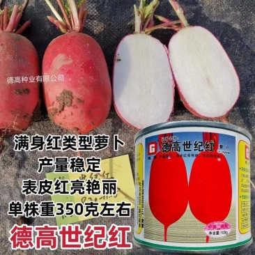 德高世纪红萝卜种子红皮白肉脆甜爽口耐裂耐糠心春秋萝卜种子