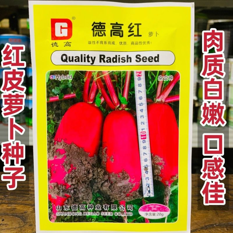 德高世纪红萝卜种子红皮白肉脆甜爽口耐裂耐糠心春秋萝卜种子