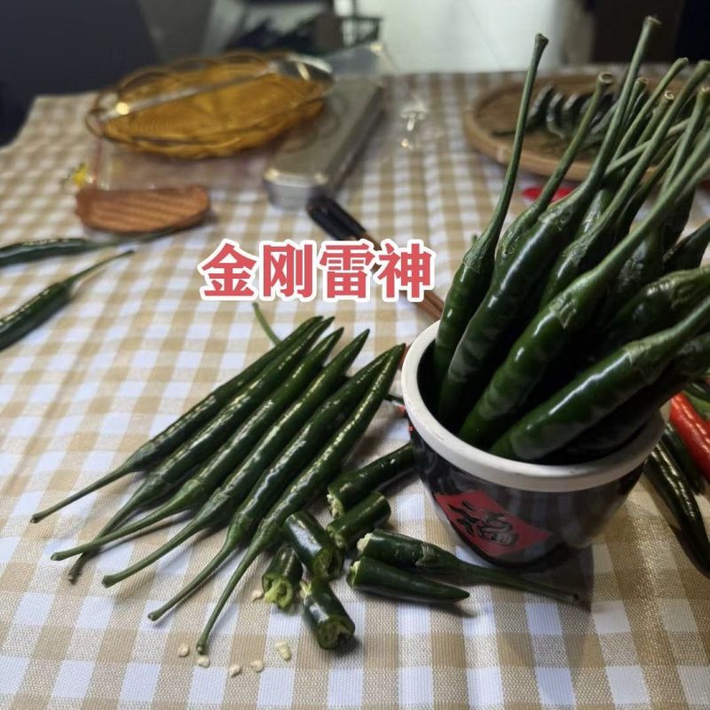 金刚雷神中熟超大果朝天椒种子耐热耐寒坐果率高适应性强高产