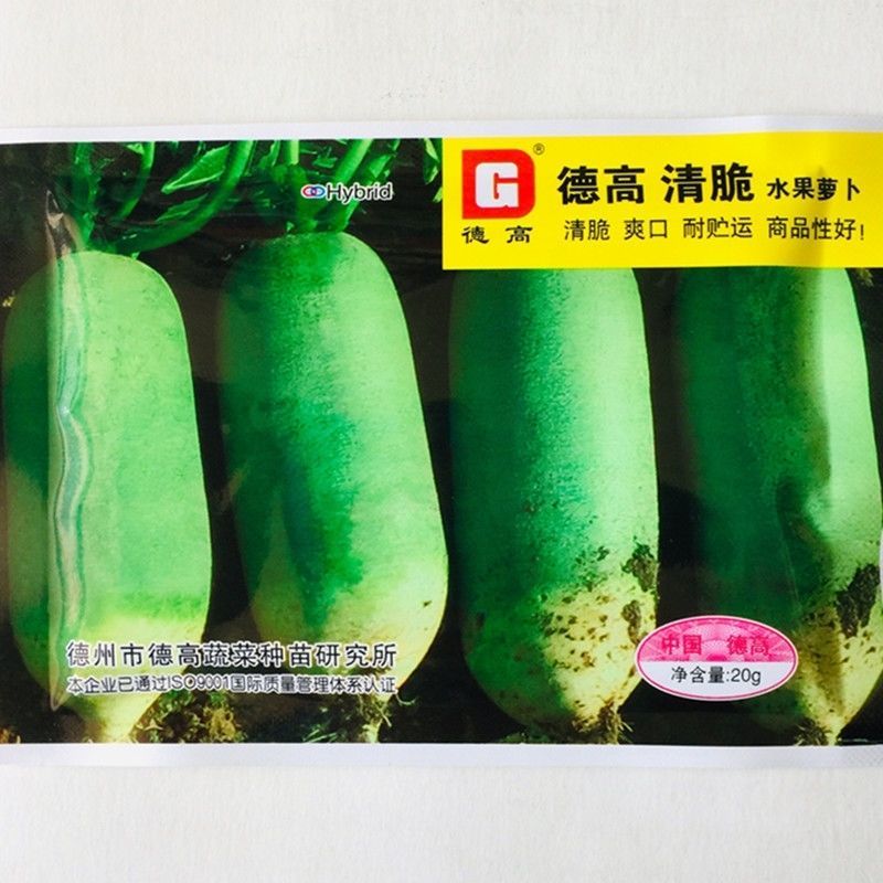 美味甜脆水果萝卜种子