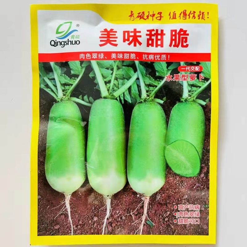 美味甜脆水果萝卜种子