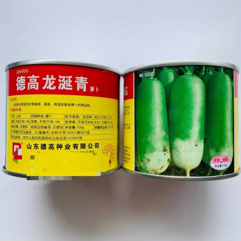 美味甜脆水果萝卜种子