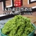 韭菜花草原野生韭菜花酱涮肉烧烤专用