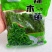 辣木苗菜，大量有货，可以视频看货，对接全国市场电商平台