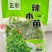 辣木苗菜，大量有货，可以视频看货，对接全国市场电商平台