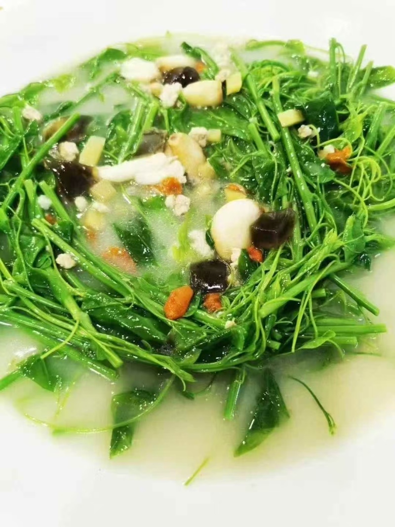 辣木苗菜，大量有货，可以视频看货，对接全国市场电商平台