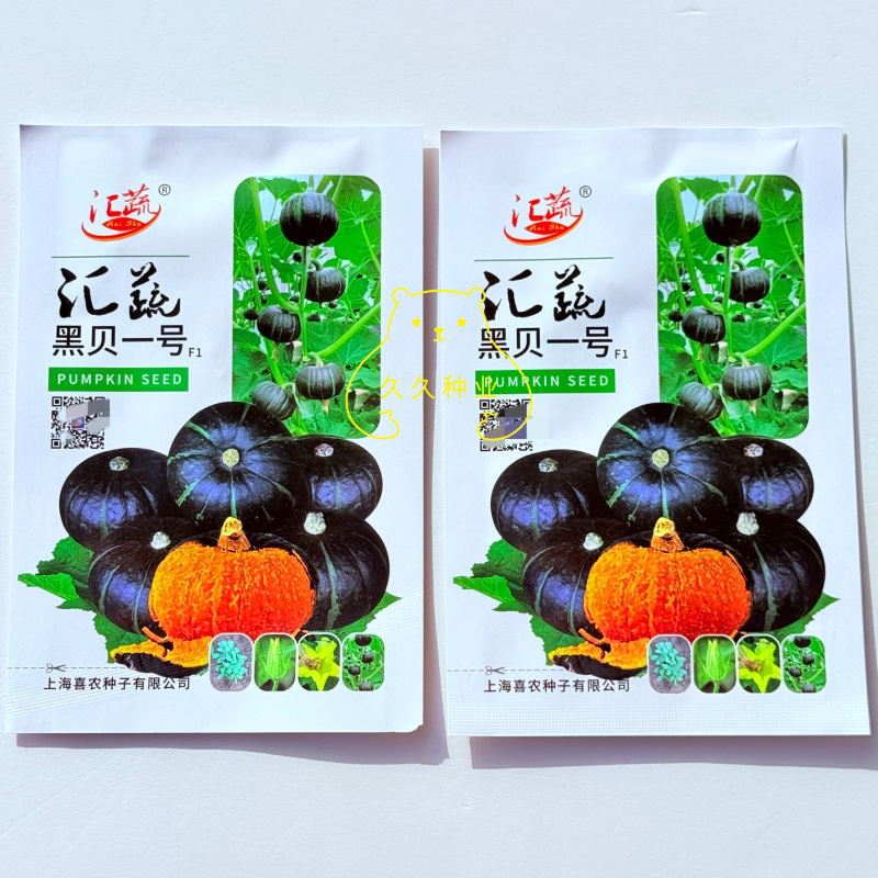 汇蔬黑贝一号贝贝南瓜种籽黑皮迷你小南瓜种子南北方春秋季播