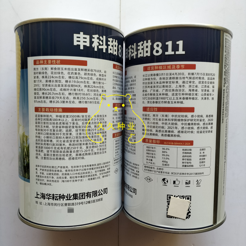 申科甜811水果玉米种子生吃甜脆多汁鲜食黄甜玉米大棒种籽