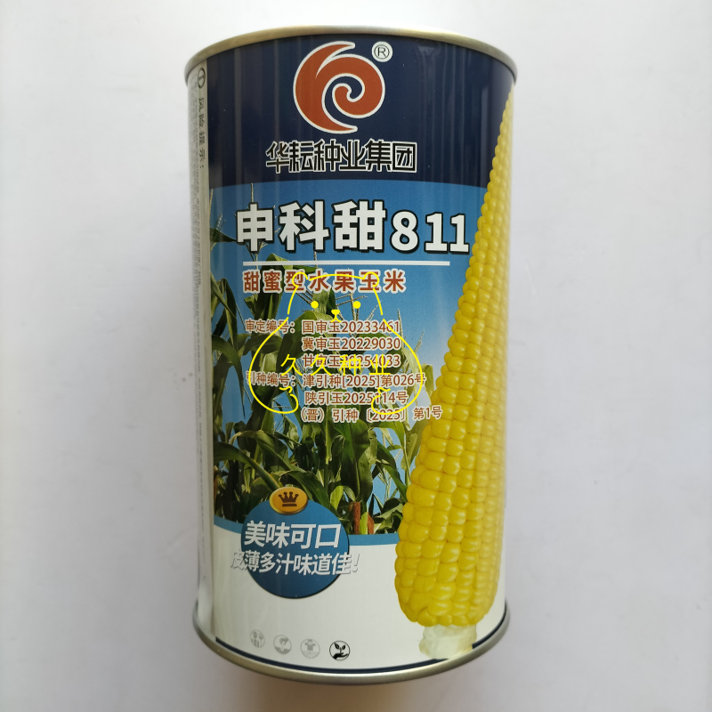 申科甜811水果玉米种子生吃甜脆多汁鲜食黄甜玉米大棒种籽