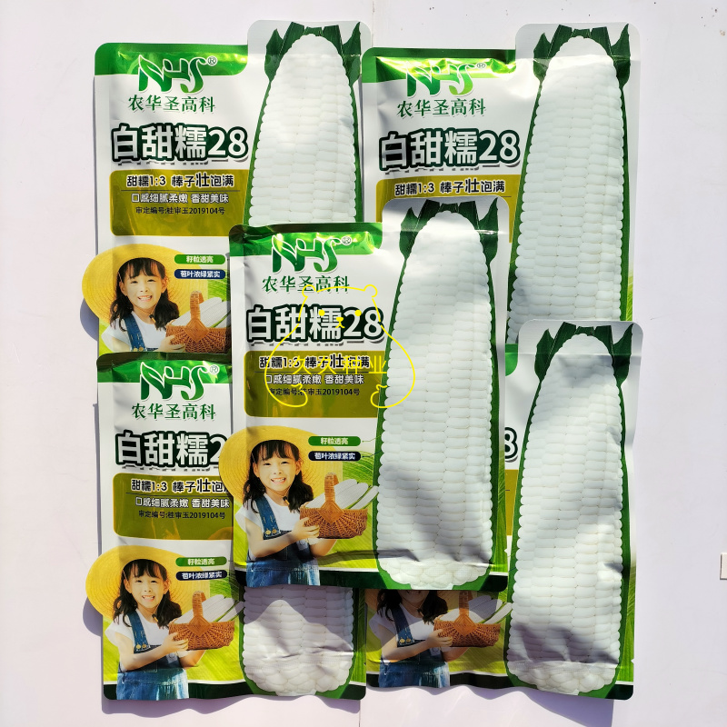 白甜糯28白糯玉米种子大棒春秋粘玉米种籽玉米种子甜糯玉米