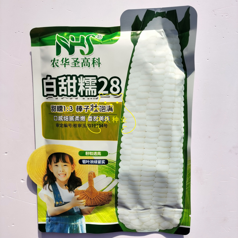 白甜糯28白糯玉米种子大棒春秋粘玉米种籽玉米种子甜糯玉米