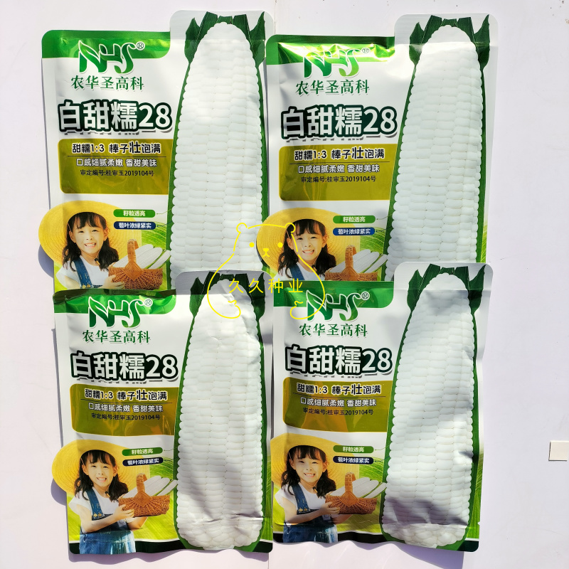 白甜糯28白糯玉米种子大棒春秋粘玉米种籽玉米种子甜糯玉米