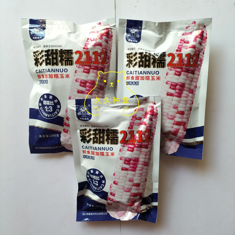 彩甜糯2112玉米种子1:3正宗优质耐热非转基因甜玉米