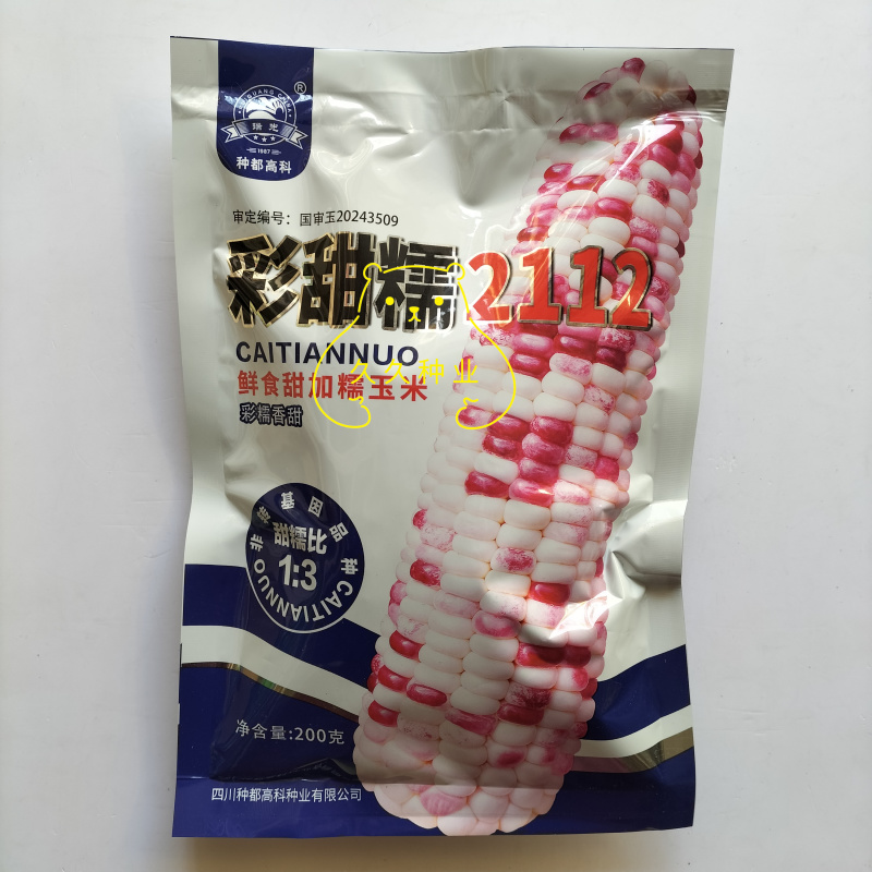 彩甜糯2112玉米种子1:3正宗优质耐热非转基因甜玉米