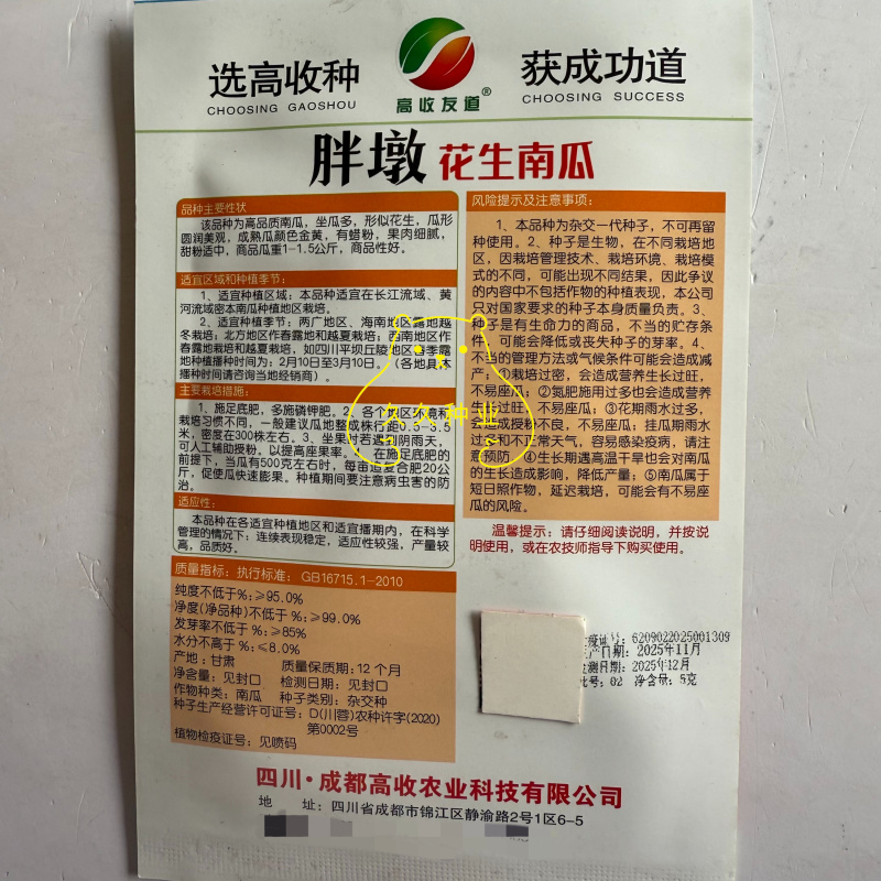 胖墩花生南瓜种子小果型南瓜种籽味粉甜肉质细腻甜口感好