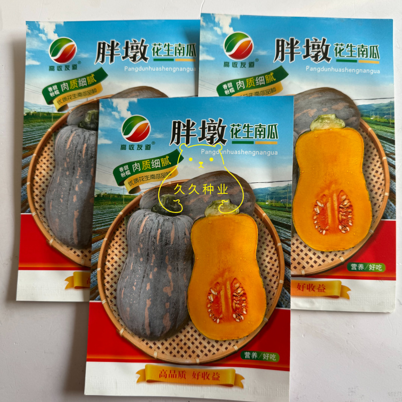 胖墩花生南瓜种子小果型南瓜种籽味粉甜肉质细腻甜口感好