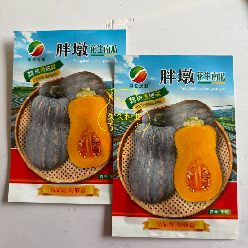 胖墩花生南瓜种子小果型南瓜种籽味粉甜肉质细腻甜口感好