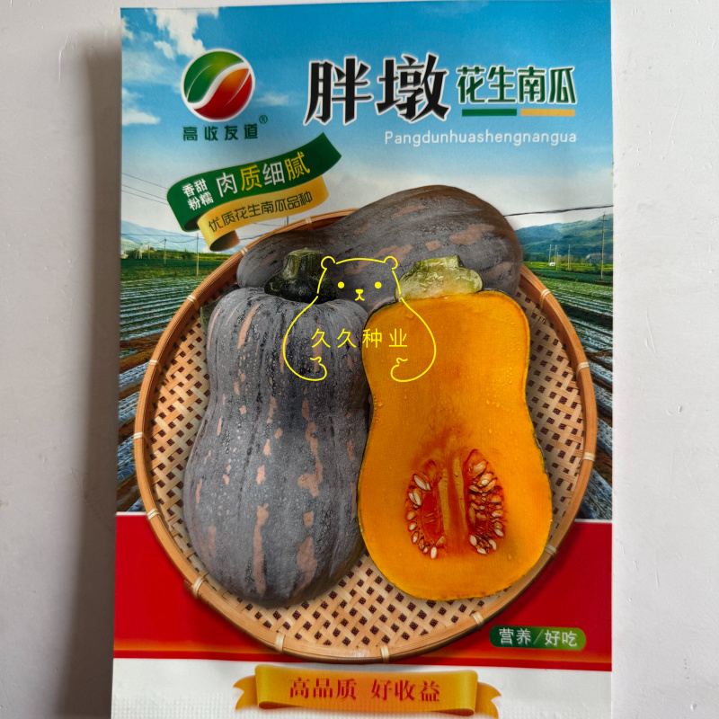 胖墩花生南瓜种子小果型南瓜种籽味粉甜肉质细腻甜口感好