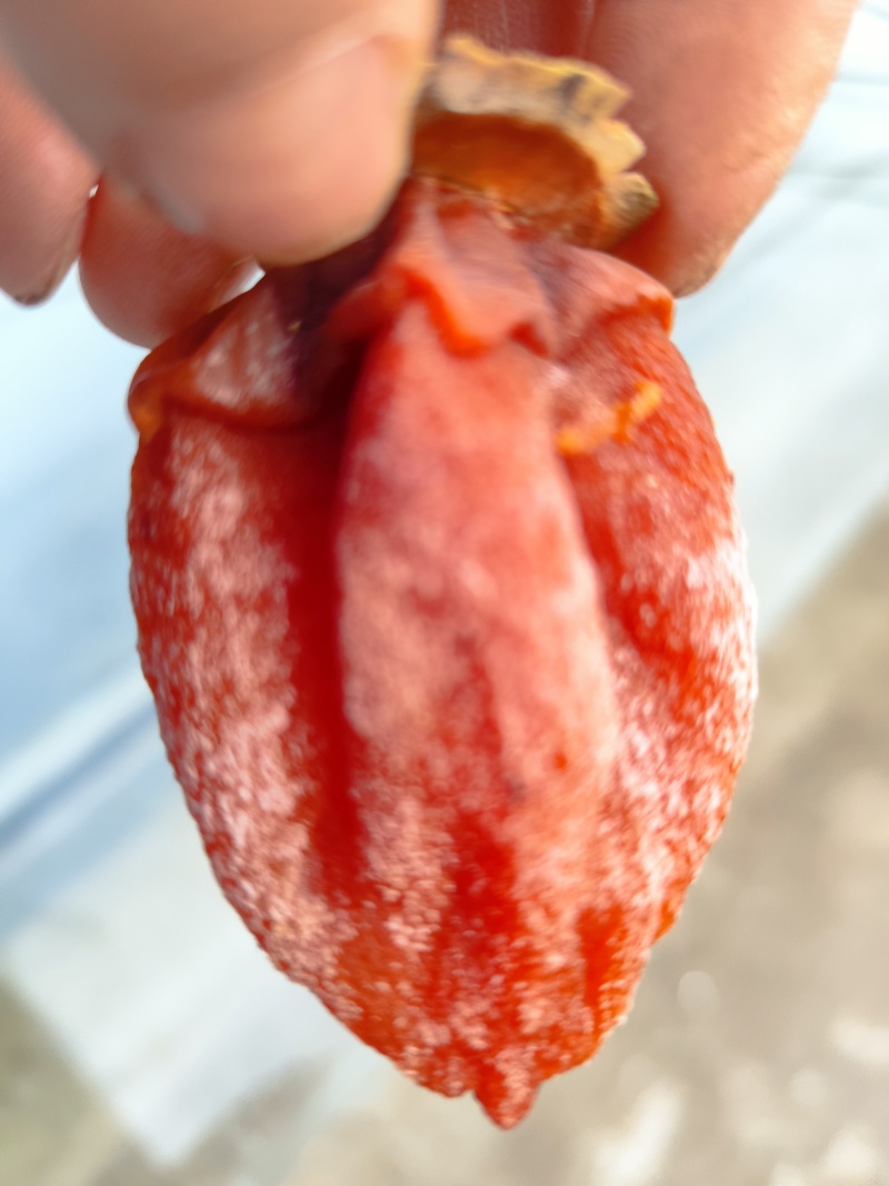 柿饼
