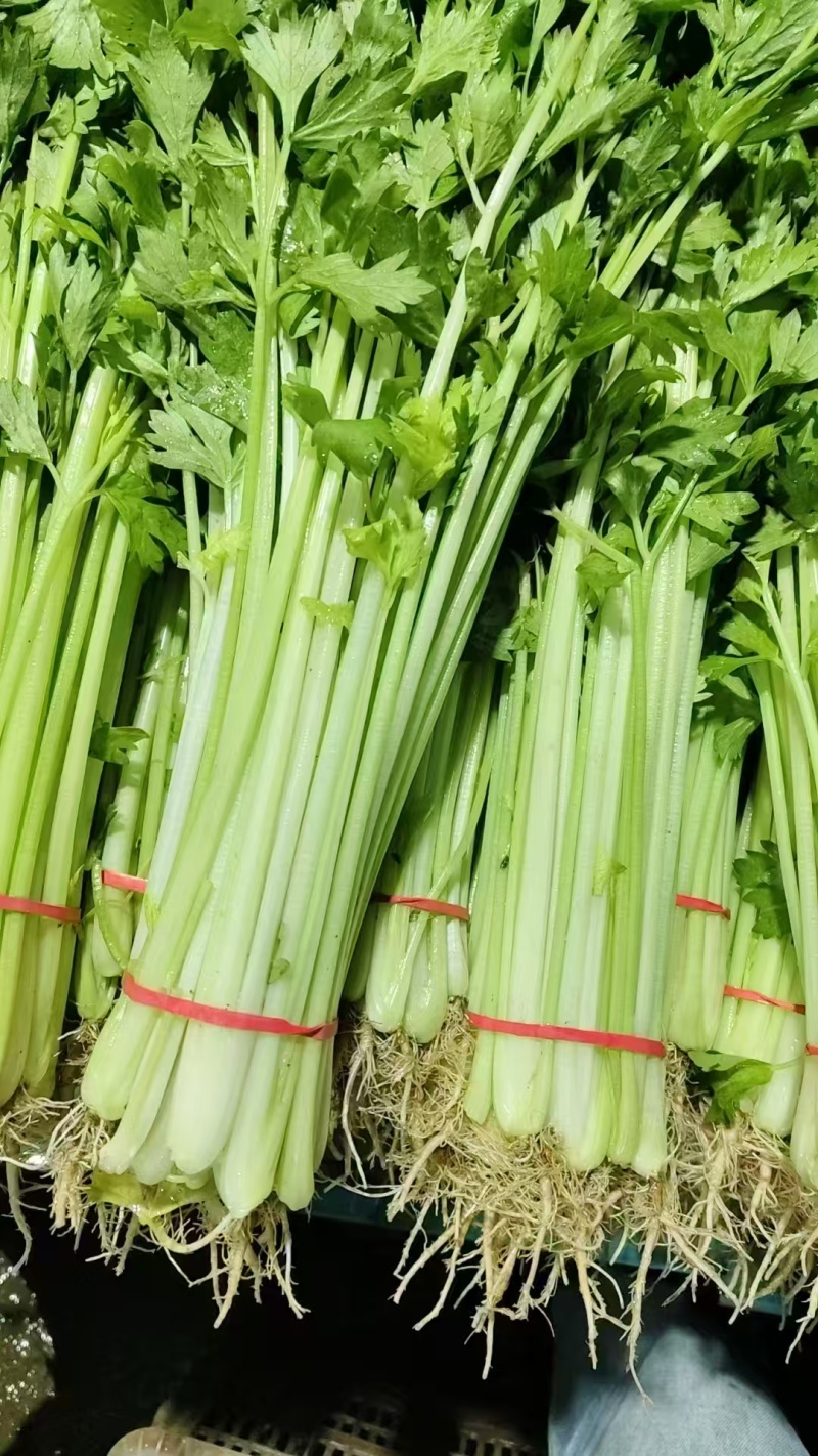 香芹