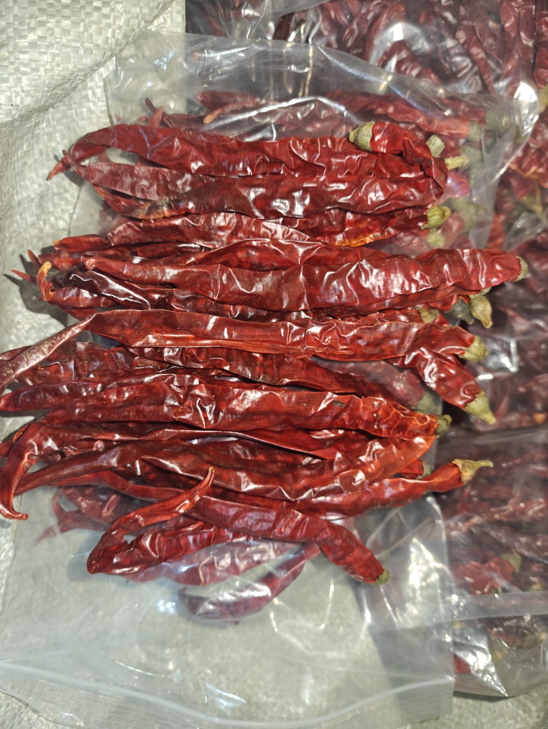 二荆条辣椒干（样品）