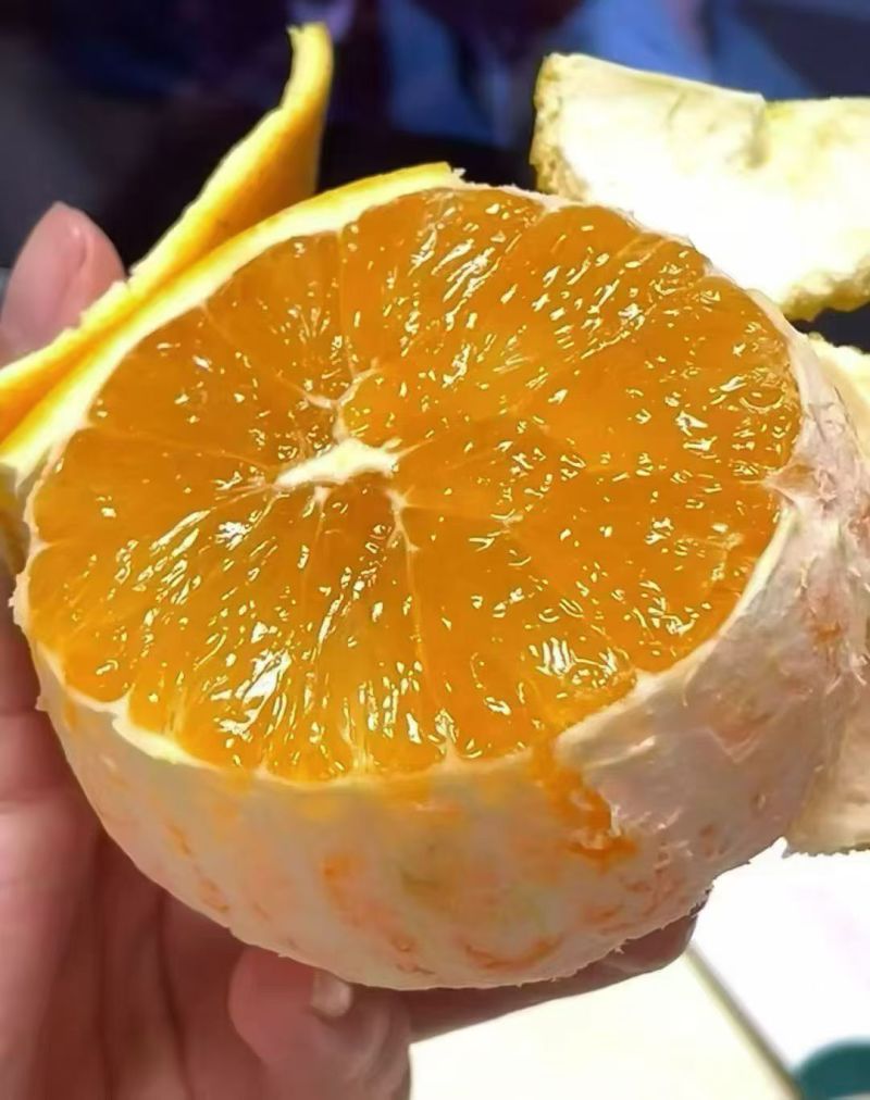 10斤装赣南脐橙，精品果，团购单价格优惠