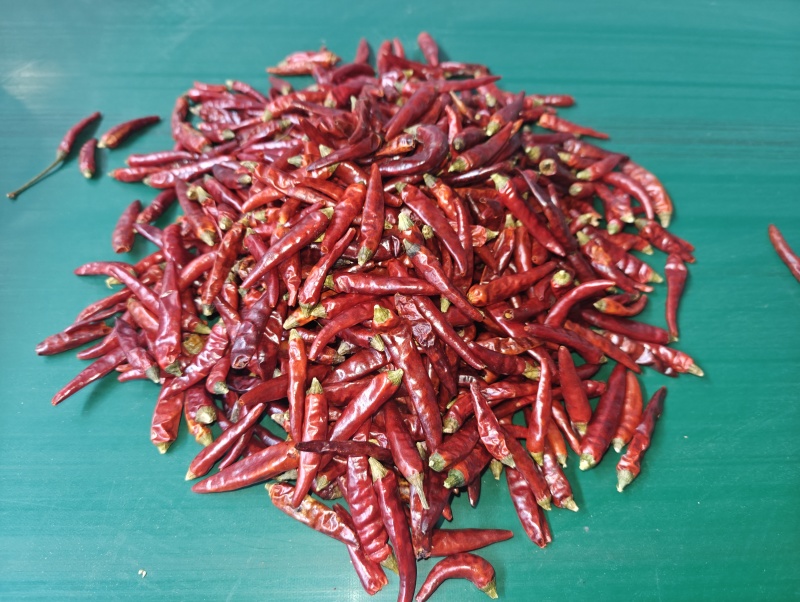 满天星（小米辣）干辣椒样品