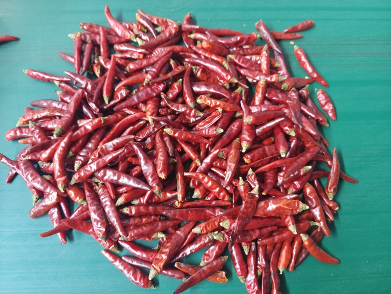 满天星（小米辣）干辣椒样品