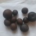羊结石