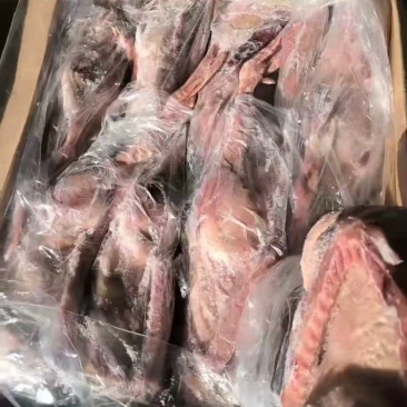 出售二级全鹅