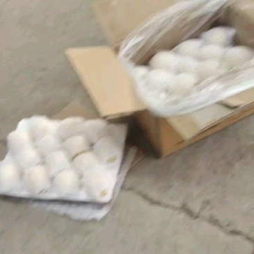 皇冠梨